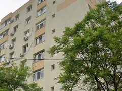 Obor, Colentina, Teiul Doamnei langa sectia 7 politie