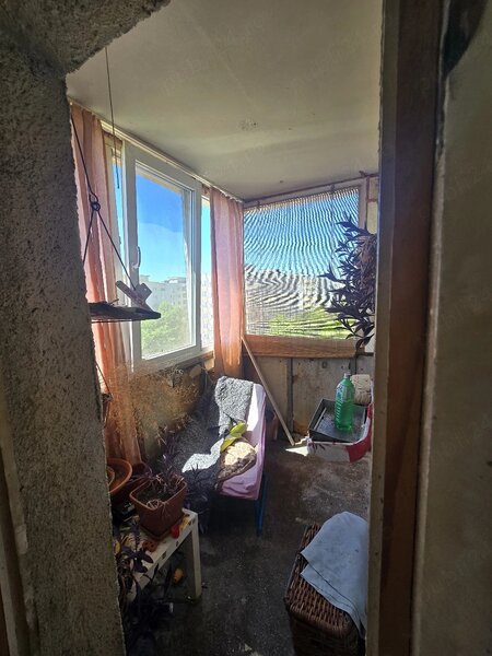 Obor, Colentina, Teiul Doamnei langa sectia 7 politie,