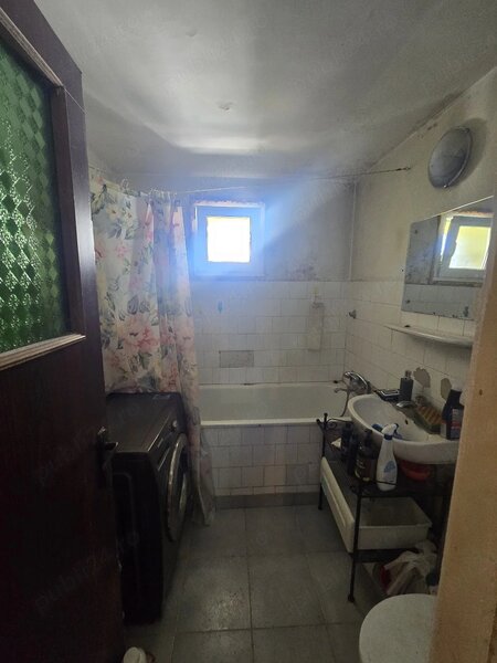 Obor, Colentina, Teiul Doamnei langa sectia 7 politie,