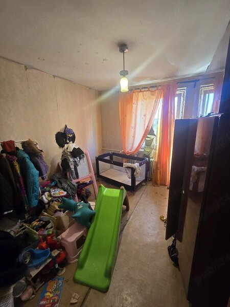 Obor, Colentina, Teiul Doamnei langa sectia 7 politie,