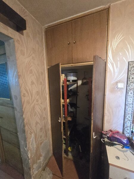 Obor, Colentina, Teiul Doamnei langa sectia 7 politie,